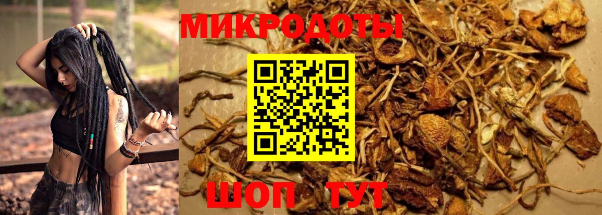 Северск  Псилоцибиновые грибы Psilocybine cubensis  Вход с VPN 